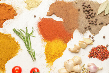 World map made of different spices on light background