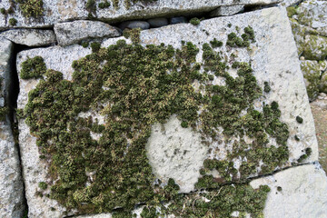 盛岡城跡公園の石垣