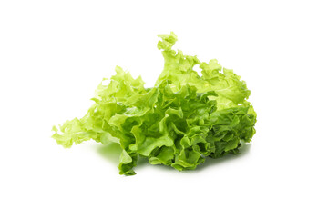Leaf of green salad isolated on white background