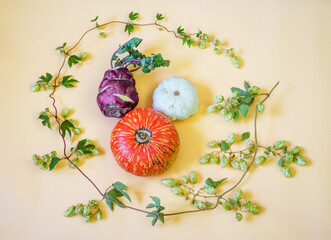 Autumn composition with pumpkin, kohlrabi, patisson and daikon radish, autumn flat lay with copy...