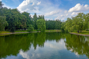 Fototapeta na wymiar Beautiful green trees near the river in the park.