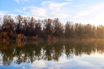 Autumn trees without leaves and yellow reeds on the river bank. Trees, reeds and a blue sky with clouds are reflected in the river