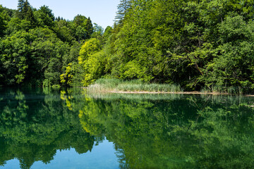 Fototapeta na wymiar Beautiful landscape in the Plitvice Lakes National Park in Croatia