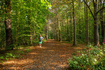 A man is jogging in the park first thing in the morning during summer season.