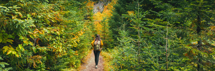 Autumn hike woman walking in pine forest landscape panoramic banner. Hiking in the wilderness panorama.