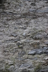 Wall Texture, typical in Ticino