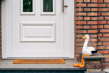 Baby announcement - Front door with white stork sitting on doorstep