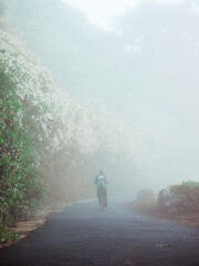 A man walking alone through hazy moody fog in the morning.