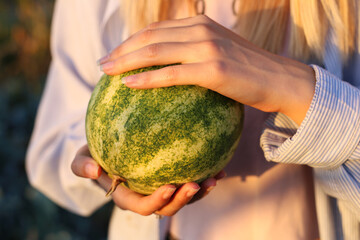 A young woman holds in tender hands a sweet ripe watermelon from the field.