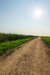 The prat de cabanes along the Azahar Coast