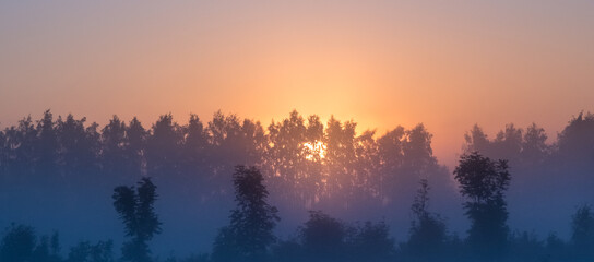 Fototapeta premium Orange sun rising behind the trees, a meadow covered with dense fog. The golden hour, misty morning. Beautiful misty sunrise landscape. Foggy morning with trees through the dense fog.