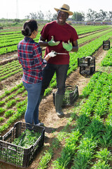 Smiling African American farmer friendly talking to Hispanic female worker on farm field during...