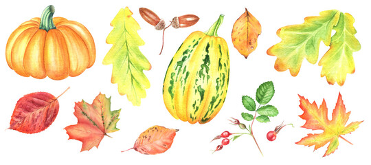 Watercolor autumn clipart, Hand-drawn illustrations pumpkins, leaves & acorns, Rose hip berries.