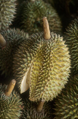 Durian | Durian