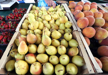 Yellow or gold pears on a farmers market