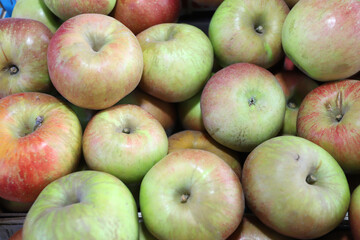 Crunchy green and red apples. Apples pattern