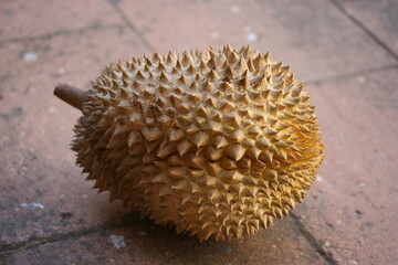 Durian | Durian