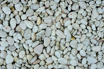 pebble texture background