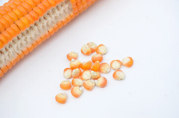 the ripe orange corncob with grain isolated on white background.