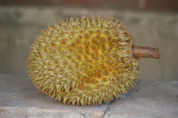 Durian | Durian