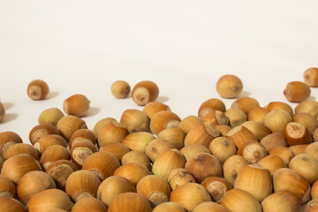 ripe hazelnuts in a peel on a white background