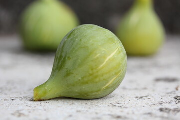 Fig [ Figue