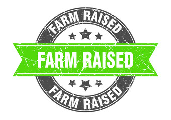 farm raised round stamp with ribbon. label sign