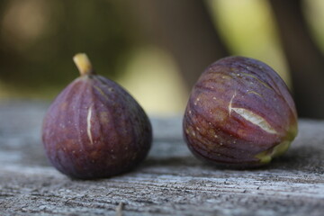 Fig [ Figue