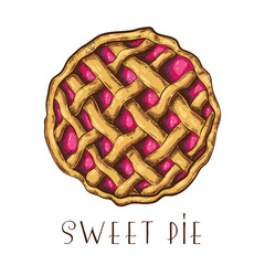 hand drawn apple pie, tart or cake with berries top view isolated on white. colored sketch of traditional pastry. vector illustration of sweet dessert with fruit or berry filling. holiday fall pie.