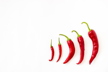 red bitter chili pepper on white clean background for text