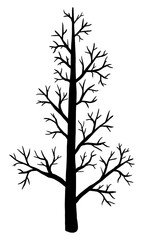 Vector illustration. Silhouette of bare tree on white background.