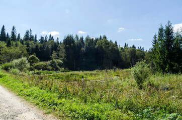 Fototapeta na wymiar Bieszczady 