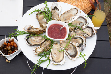 Fresh oysters in white plate in top view in Arcachon France