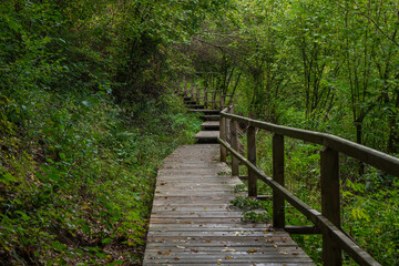 Tiny path to the old barracks Vogelsang