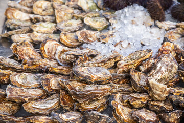 Fototapeta na wymiar Fresh oysters on display at Broadway market in London