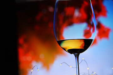 A glass of red wine against the backdrop of a colorful autumn park. A calm autumn day.
