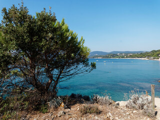 Fototapeta na wymiar Magnificent view of Cavalaire bay from National park of Cap Lardier, Gigaro beach and La Croix Valmer, south of Saint-Tropez in Var, Provence-Alpes-Côte-d'Azur 