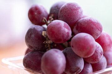 美味しそうなブドウ（巨峰）