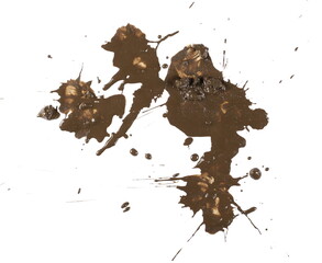 Mud, wet dirt stains texture isolated on white background, top view with clipping path