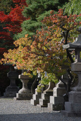 Obraz premium autumn leaves and the stone lanterns @japanese temple, kyoto / 紅葉の木々と石灯篭 ＠寺院, 京都