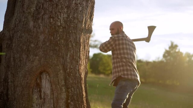 Lumberjack cutting down a tree with an axe in a beautiful countryside scenery in a green forest at sunset, with sun flares