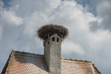 large stork's nest  in Romania, Brasov ,Roades,2019