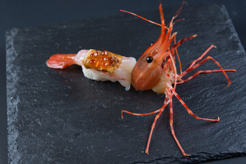 Japanese  Sushi food