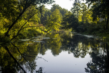 Fototapeta na wymiar Rzeka pośród starych drzew. Noteć - wciąż dzika i nieznana polska rzeka, atrakcyjna turystycznie.