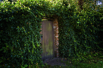 Drzwi do tajemniczego ogrodu. Sekretne, porośnięte bluszczem wejście do magicznego świata © MatB