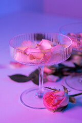 glass with rose petals in neon light