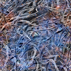 Exotic seamless pattern. Fashion hand drawn 