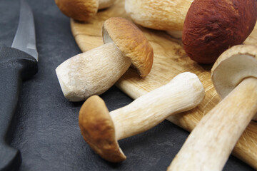 Boletus mushrooms prepared for cooking. Boletuson on a wooden tray. Boletus edulis. Closeup	