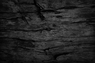 Old wood texture. Black wooden background. Timber is eroding. Wooden grunge background.
