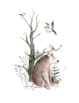 Woodland watercolor cute animals baby bear. Scandinavian bear orest nursery poster design. Isolated charecter